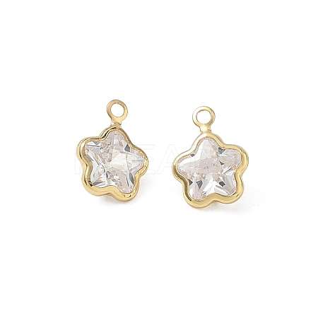 Brass Pave Clear Cubic Zirconia Charms CU-CBAD360-03G-02-1