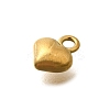 304 Stainless Steel Charms LS-STAS-D310-06G-03-2