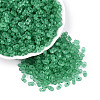 FGB Frosted Transparent Glass Seed Beads SEED-N013-06A-09-1