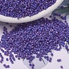 MIYUKI Delica Beads X-SEED-J020-DB0880-1
