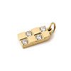 304 Stainless Steel Micro Pave Cubic Zirconia Pendants STAS-P431-22G-2