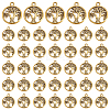 120Pcs Tibetan Style Alloy Pendants FIND-UN0007-20AG-1
