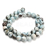 Natural Larimar Beads Strands G-L642-B19-10mm-3