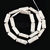 Plating Natural Freshwater Shell Beads Strands X-SHEL-N026-231-2