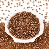 Silver Lined Glass Seed Beads SEED-T007-18A-12-2