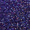 MIYUKI Delica Beads SEED-JP0008-DB1755-3