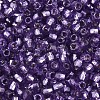 Silver Lined Glass Seed Beads SEED-T007-18A-09-3
