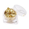 Foil Flakes DIY-E032-02B-1