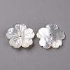 Natural White Shell Mother of Pearl Shell Beads SSHEL-R144-10-2
