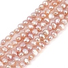Natural Cultured Freshwater Pearl Beads Strands PEAR-P064-19B-05B-2