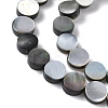 Natural Black Lip Shell Beads Strands BSHE-D300-05-8mm-3