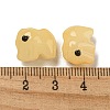 Handmade Transparent Glass Beads GLAA-N0028-01F-4
