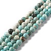 Natural Magnesite Beads Strands G-L555-02B-02-1