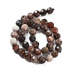 Natural Petrified Wood Beads Strands G-C150-B01-02-4