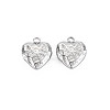 Non-Tarnish 304 Stainless Steel Charms STAS-N097-190P-1