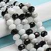Glass Beads Strands EGLA-A034-M10mm-48-1