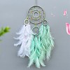 Woven Web/Net with Feather Decorations PW-WG21777-05-1