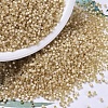 MIYUKI Delica Beads X-SEED-J020-DB0621-1