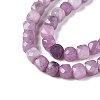 Natural Lepidolite/Purple Mica Stone Beads Strands G-N342-139-3