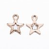 Ion Plating(IP) 304 Stainless Steel Charms LS-X-STAS-H392-01RG-2