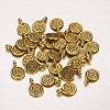 Tibetan Style Alloy Charms LS-X-GLF0339Y-1