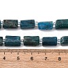 Natural Apatite Beads Strands G-L655-B03-01-5