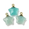 Natural Amazonite Pendants G-P540-01G-03-1