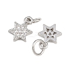 Brass Micro Pave Cubic Zirconia Pendants ZIRC-K070-41P-2