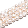 Natural Cultured Freshwater Pearl Beads Strands PEAR-N027-06B-2