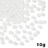 10G Glass Seed Beads SEED-YW0003-03I-1