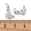 Rack Plating Brass Micro Pave Clear Cubic Zirconia Charms KK-U030-15P-3