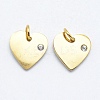 316 Surgical Stainless Steel Pendants X-STAS-K178-05G-1
