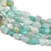 Natural Amazonite Nuggets Beads Strands G-J335-31B-4