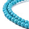 Synthetic Turquoise Beads Strands X-TURQ-G106-4mm-02F-2