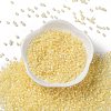 Glass Seed Beads X-SEED-S042-13A-02-2