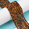 Natural Tiger Eye Beads Strands G-B045-A01-4