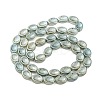 Electroplate Glass Beads Strands EGLA-G037-13A-FP01-2