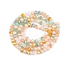 Electroplate Glass Beads Strands GLAA-T023-B16-03-2