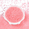 8/0 Transparent Glass Seed Beads SEED-F003-03B-15-1