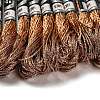 10 Skeins 12-Ply Metallic Polyester Embroidery Floss OCOR-Q057-A13-2