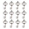 Gifts Ideas for Her Tibetan Style Alloy Charms LS-LF11975Y-1