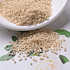 MIYUKI Delica Beads SEED-JP0008-DB0205-1