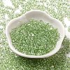 Baking Glass Seed Beads SEED-K009-07A-06-2