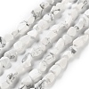 Natural Howlite Beads Strands G-P497-01C-64-1
