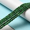 Natural Dolomite Beads Strands G-K350-A01-01B-2