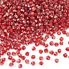 Picasso Baking Paint Glass Seed Beads SEED-TA0001-62I-2