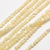 Shell Round Beads Strands X-G-A130-2mm-02-1