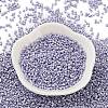 Baking Paint Glass Seed Beads SEED-S042-15B-30-2
