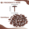 60Pcs Iron Round Head Nails CABI-LP0001-02R-2