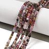 Natural Multicolor Tourmaline Beads Strands G-H042-B28-01-2